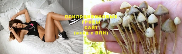 2c-b Аркадак