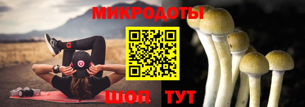 Псилоцибиновые грибы Psilocybe  Галлюциногенные грибы Magic Shrooms  Пенза  Вход с VPN 